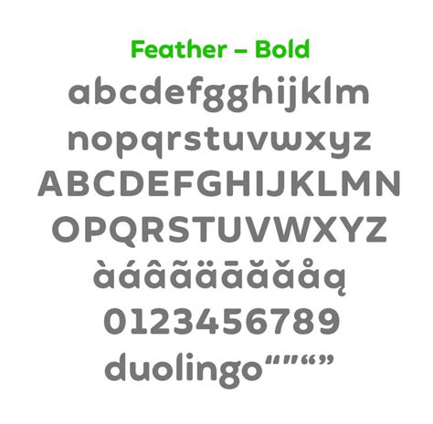 duolingo font|Feather Bold in use